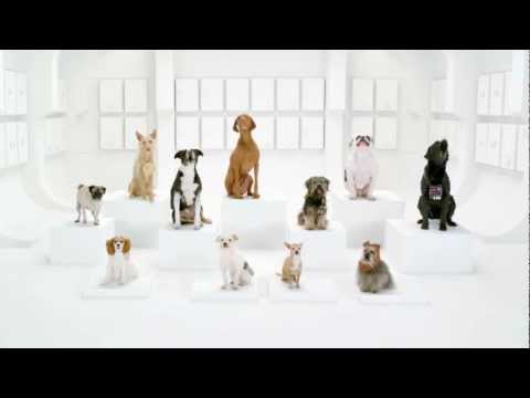 2012 Volkswagen Game Day Commercial Teaser Dogs song:The Bark Side